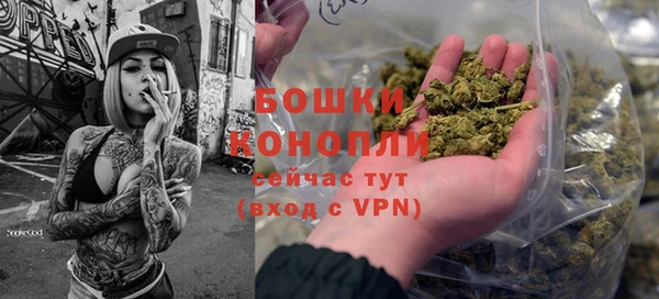 дурь Переславль-Залесский