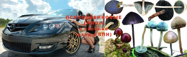 меф Пересвет